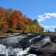 Illustration for article titled Fall Photos 1